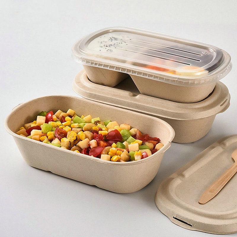 10/50PCS Wegwerp Afhaaldozen L - Meal Prep Bowl recensie en prijs